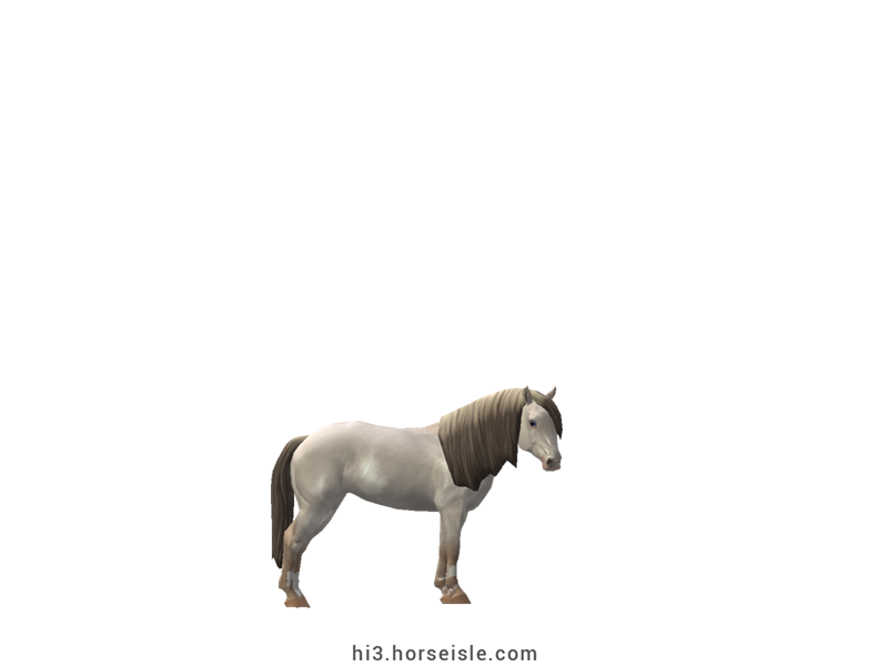 South African Miniature Horse Perlino Dun Tobiano Coat